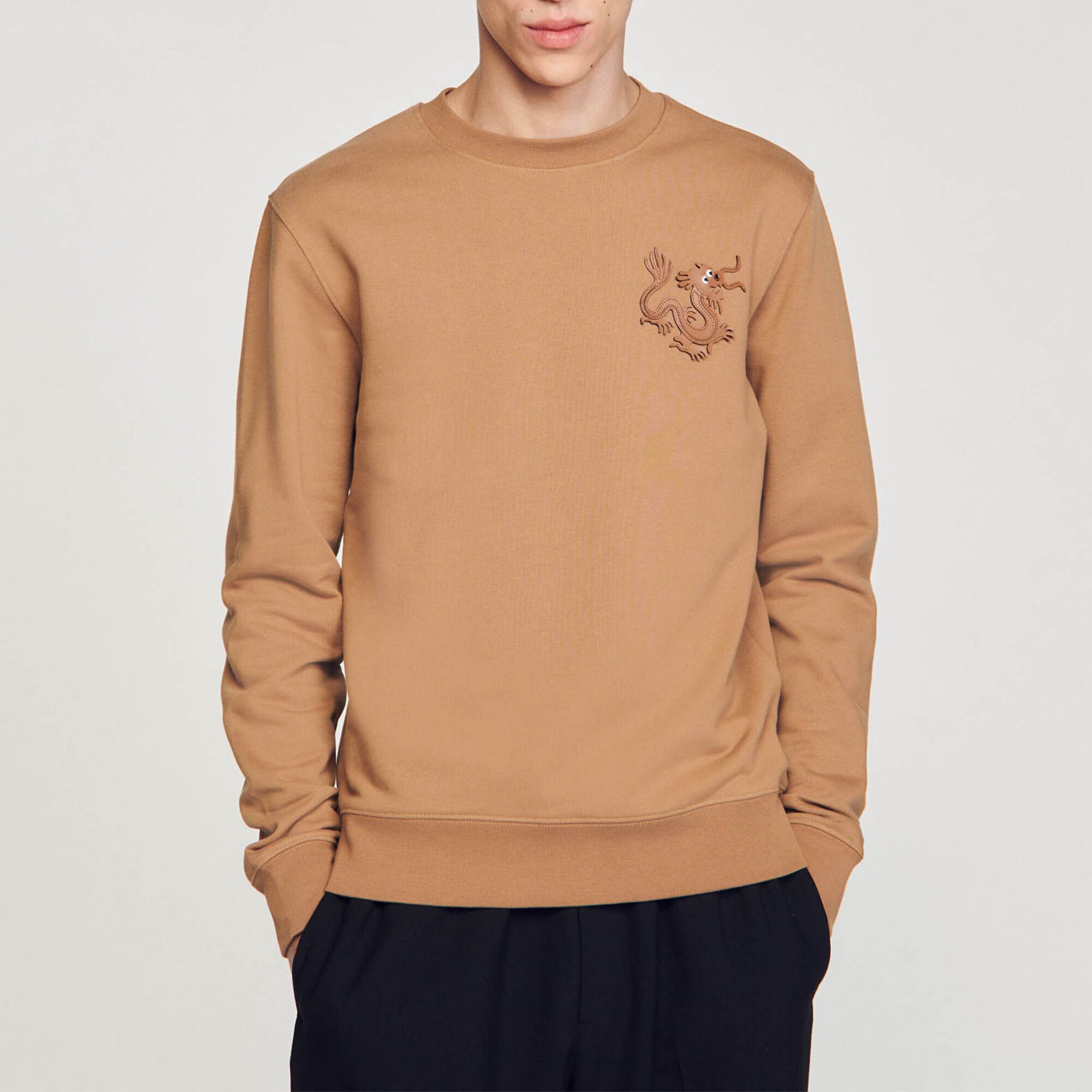 Sweatshirt dragon